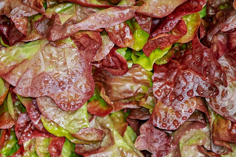 Superfood Salad